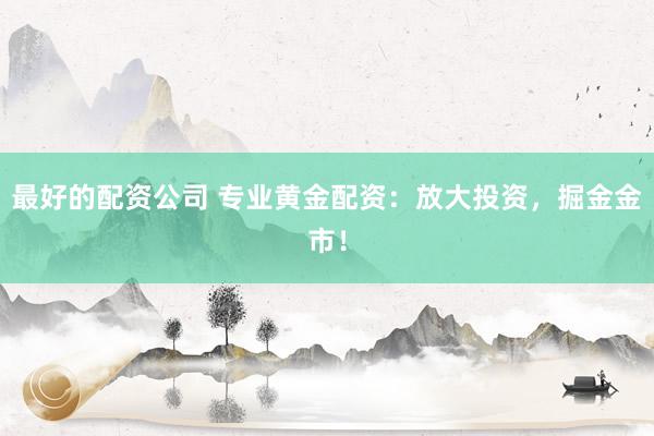 最好的配资公司 专业黄金配资：放大投资，掘金金市！