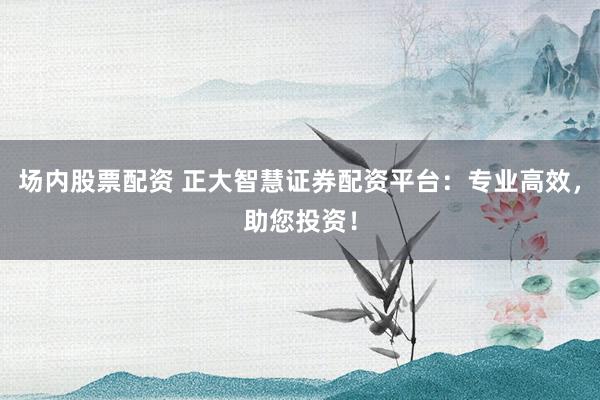 场内股票配资 正大智慧证券配资平台：专业高效，助您投资！