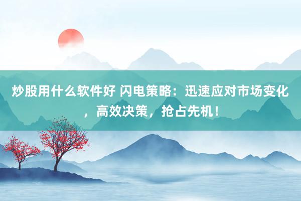炒股用什么软件好 闪电策略：迅速应对市场变化，高效决策，抢占先机！