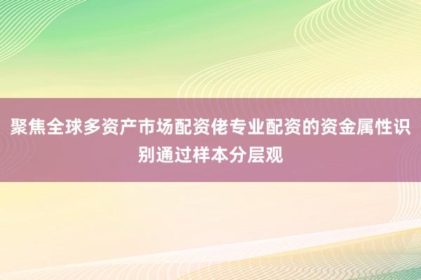 聚焦全球多资产市场配资佬专业配资的资金属性识别通过样本分层观