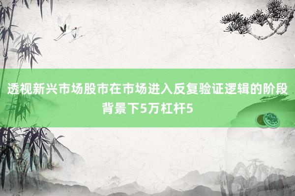 透视新兴市场股市在市场进入反复验证逻辑的阶段背景下5万杠杆5