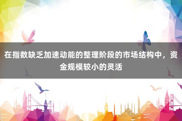 在指数缺乏加速动能的整理阶段的市场结构中，资金规模较小的灵活