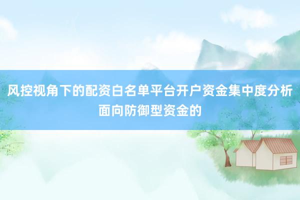 风控视角下的配资白名单平台开户资金集中度分析面向防御型资金的