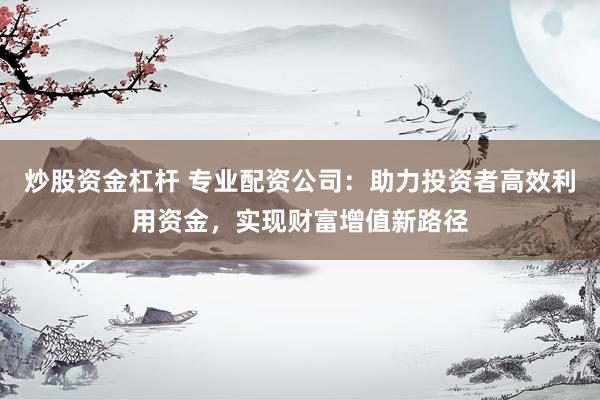 炒股资金杠杆 专业配资公司：助力投资者高效利用资金，实现财富增值新路径